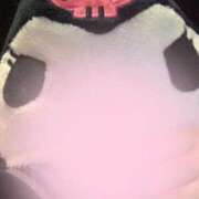 ヒメ日記 2025/11/01 13:16 投稿 みく お姉さんSelect