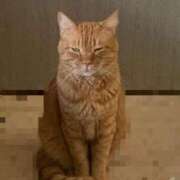 ヒメ日記 2025/11/22 20:36 投稿 みく お姉さんSelect