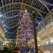 ヒメ日記 2025/12/02 22:05 投稿 みく お姉さんSelect