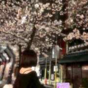 ヒメ日記 2025/04/05 13:02 投稿 あらん ばつぐん素人プロダクション