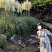 ヒメ日記 2025/08/28 19:12 投稿 ぽぽ 川崎ソープ　クリスタル京都南町