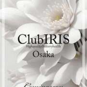 ヒメ日記 2024/08/26 10:45 投稿 柳瀬 瞳 クラブアイリス大阪