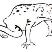 ヒメ日記 2025/02/17 22:51 投稿 れい しろうとCollection