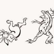 れい 🐸🐰 しろうとCollection