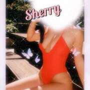 ヒメ日記 2025/11/23 13:18 投稿 シェリー 沖縄素人図鑑