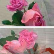 ヒメ日記 2026/02/09 13:09 投稿 シェリー 沖縄素人図鑑