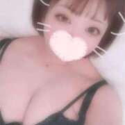 ヒメ日記 2025/03/14 12:03 投稿 つばき 激安ソープの殿堂　ボイン・ホーテ