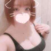 ヒメ日記 2025/04/02 06:10 投稿 つばき 激安ソープの殿堂　ボイン・ホーテ