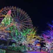 ヒメ日記 2025/12/11 07:39 投稿 つばき 激安ソープの殿堂　ボイン・ホーテ