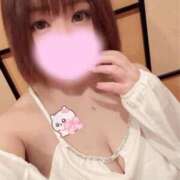 ヒメ日記 2026/01/25 08:24 投稿 つばき 激安ソープの殿堂　ボイン・ホーテ