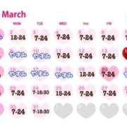 ヒメ日記 2026/02/27 12:04 投稿 つばき 激安ソープの殿堂　ボイン・ホーテ