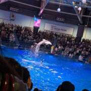 つばき また明日から…！ 激安ソープの殿堂　ボイン・ホーテ