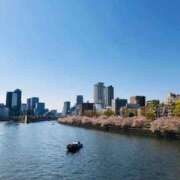 みな 残りひと枠です🥺🙏🏻 アラカルト