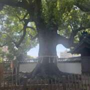 ヒメ日記 2025/09/08 15:14 投稿 ほのか 神戸3040（神戸サーティフォーティ）