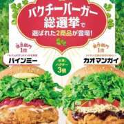 ヒメ日記 2026/04/15 17:14 投稿 ほのか 神戸3040（神戸サーティフォーティ）