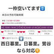 ヒメ日記 2024/09/19 14:30 投稿 かんな 奥鉄オクテツ東京店（デリヘル市場）