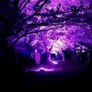 ヒメ日記 2025/03/20 16:38 投稿 唐沢なつみ 五十路マダム 浜松店(カサブランカグループ)