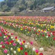 ヒメ日記 2025/03/21 00:38 投稿 唐沢なつみ 五十路マダム 浜松店(カサブランカグループ)