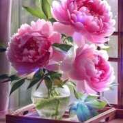 ヒメ日記 2025/05/10 01:00 投稿 唐沢なつみ 五十路マダム 浜松店(カサブランカグループ)