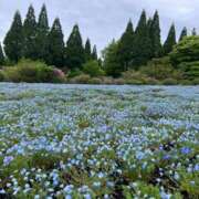 ヒメ日記 2025/05/10 15:30 投稿 唐沢なつみ 五十路マダム 浜松店(カサブランカグループ)