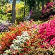 ヒメ日記 2025/05/13 00:02 投稿 唐沢なつみ 五十路マダム 浜松店(カサブランカグループ)