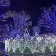 唐沢なつみ 18日のお礼です 五十路マダム 浜松店(カサブランカグループ)