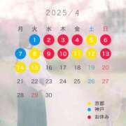 ヒメ日記 2025/04/04 16:48 投稿 一色 ひとみ Canx2京都店