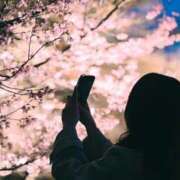 ヒメ日記 2025/04/10 21:29 投稿 一色 ひとみ Canx2京都店