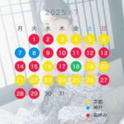 ヒメ日記 2025/07/14 19:37 投稿 一色 ひとみ Canx2京都店