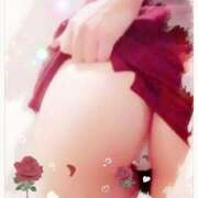 ヒメ日記 2024/12/14 17:27 投稿 月乃(つきの) 高知デリヘル倶楽部 人妻熟女専門店