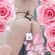 ヒメ日記 2026/02/12 16:19 投稿 月乃(つきの) 高知デリヘル倶楽部 人妻熟女専門店