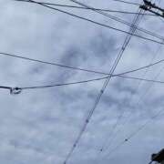 ヒメ日記 2025/02/02 09:48 投稿 三井さと 禁断のメンズエステR-18堺・南大阪店