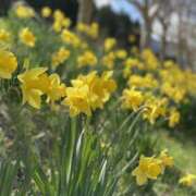 ヒメ日記 2025/05/05 10:34 投稿 三井さと 禁断のメンズエステR-18堺・南大阪店