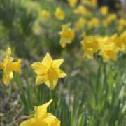 ヒメ日記 2025/05/06 11:24 投稿 三井さと 禁断のメンズエステR-18堺・南大阪店