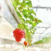 ヒメ日記 2025/04/16 20:22 投稿 羽衣【ウイ】 ピンクコレクション大阪