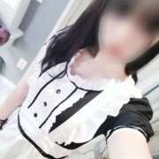 ヒメ日記 2025/01/23 08:14 投稿 あんり フィエスタ