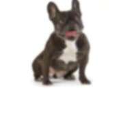 ヒメ日記 2025/02/24 21:04 投稿 あんり フィエスタ