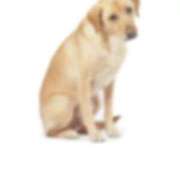 ヒメ日記 2025/02/26 00:14 投稿 あんり フィエスタ