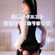 ヒメ日記 2025/03/01 14:04 投稿 あんり フィエスタ