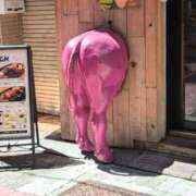 ヒメ日記 2025/04/17 23:04 投稿 あんり フィエスタ