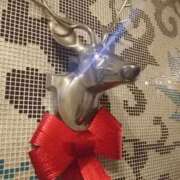 ヒメ日記 2025/12/22 09:34 投稿 あんり フィエスタ