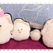 ヒメ日記 2025/08/21 20:04 投稿 ゆめ TALENT（タレント）