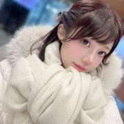 ヒメ日記 2025/01/16 15:49 投稿 ひまわり Evolution 2nd