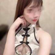 ヒメ日記 2025/01/29 12:03 投稿 ひまわり Evolution 2nd