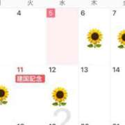 ヒメ日記 2025/02/06 12:03 投稿 ひまわり Evolution 2nd