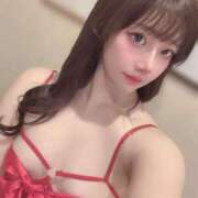 ヒメ日記 2025/02/07 07:17 投稿 ひまわり Evolution 2nd