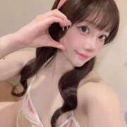 ヒメ日記 2025/02/19 08:22 投稿 ひまわり Evolution 2nd