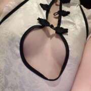 ヒメ日記 2025/02/20 10:20 投稿 ひまわり Evolution 2nd