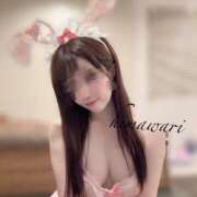 ヒメ日記 2025/03/03 14:16 投稿 ひまわり Evolution 2nd