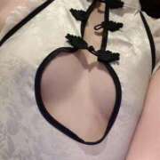 ヒメ日記 2025/03/25 06:19 投稿 ひまわり Evolution 2nd